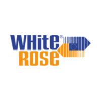 WHITE ROSE
